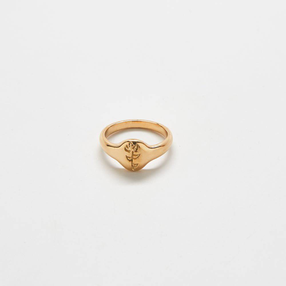 Gold Rose Signet Ring - Admiral Row