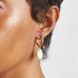 Gold Cowrie Shell Huggie Earrings - Admiral Row