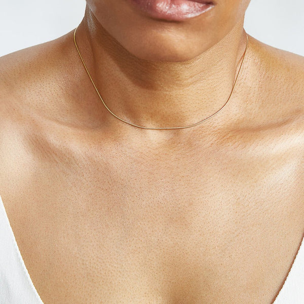 Skinny Snake Chain Necklace - Admiral Row