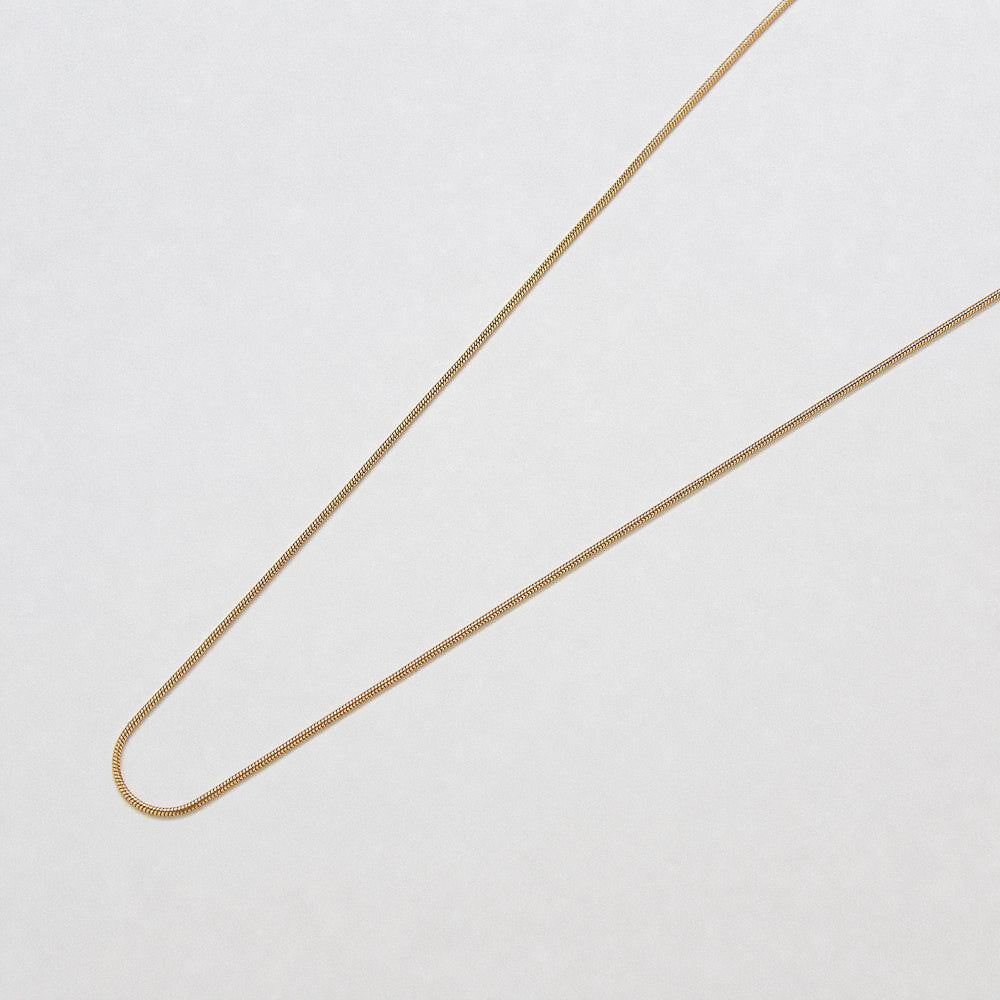 Skinny Snake Chain Necklace - Admiral Row
