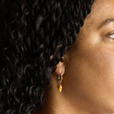 Gold Mango Huggie Hoops - Admiral Row
