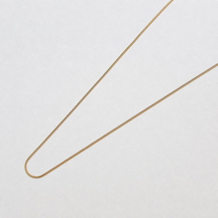 Skinny Snake Chain Necklace - Admiral Row